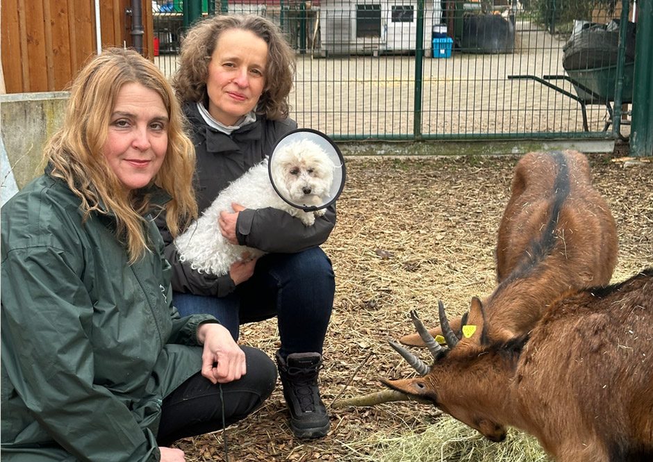 Sonja (VgT.ch), Katharina und Eve (mit Kragen) auf dem VgT Lebenshof in Buhwil TG.